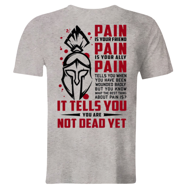 Vikings Pain Is Your Friend Printed Men's T-shirt